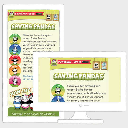 Fun sample of an email campaign for a Chinese Panda Refuge