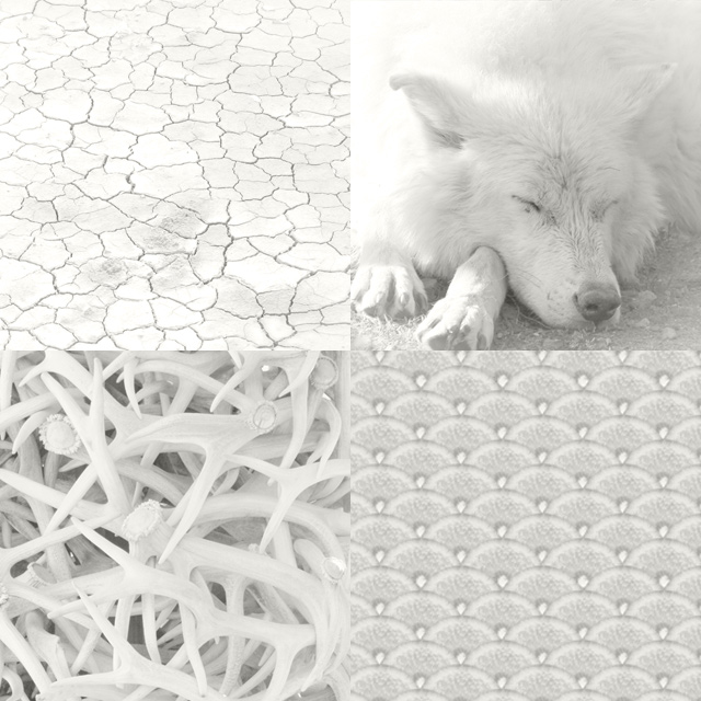 pantone cloud dancer click-bait metapix