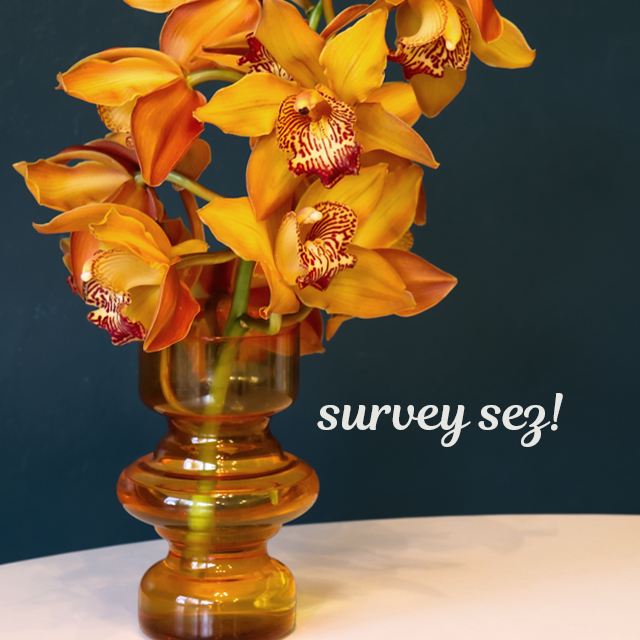 Local Businesses Marketing Survey